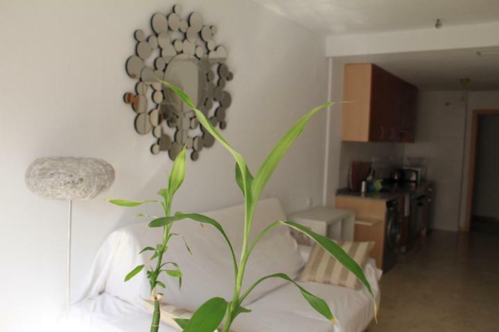 Sunny Apartments Alicante Bagian luar foto